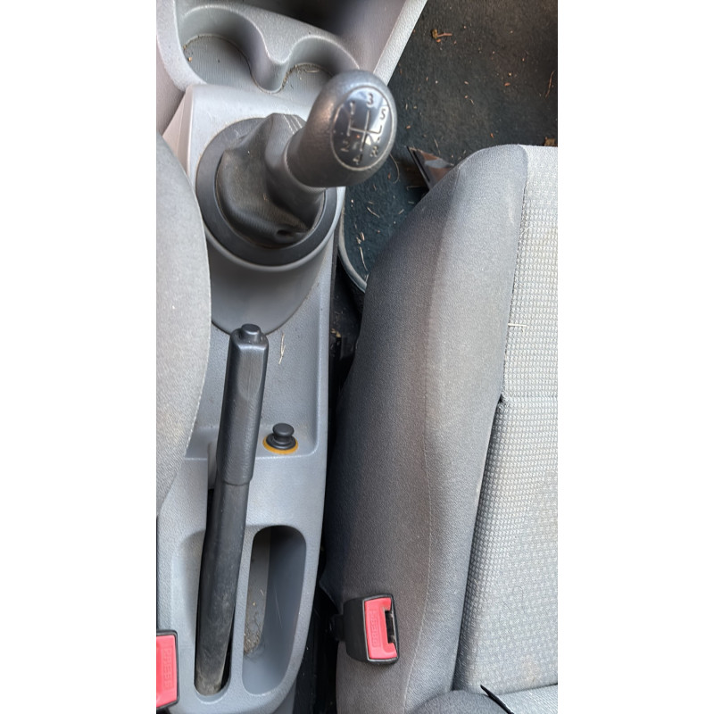 Custode arriere droit (porte) RENAULT MODUS Photo n°20