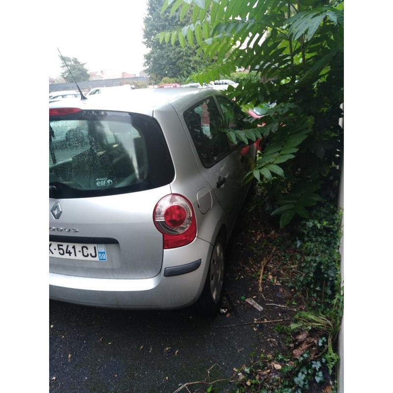 Custode arriere gauche (porte) RENAULT MODUS Photo n°18