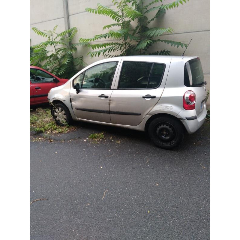 Custode arriere gauche (porte) RENAULT MODUS Photo n°20