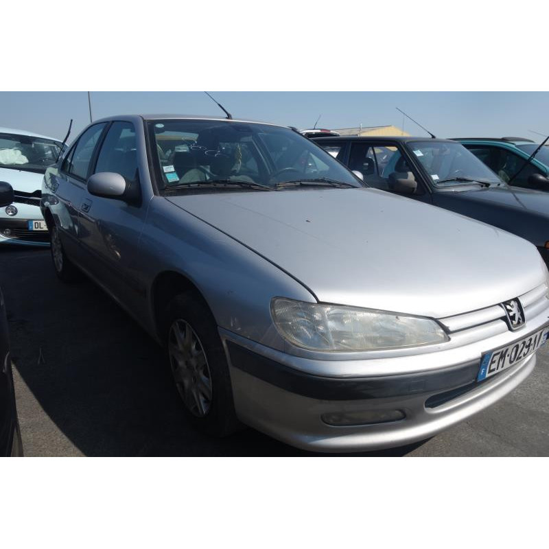 Custode arriere droit (porte) PEUGEOT 406 Photo n°5