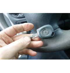 Custode arriere gauche (porte) RENAULT MEGANE