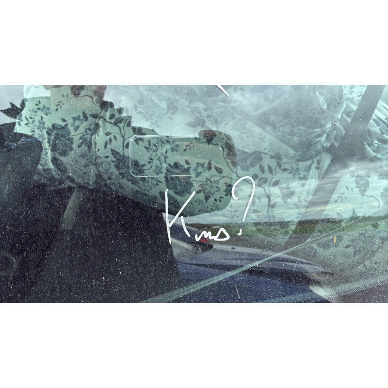 Custode arriere droit RENAULT CLIO 3 Photo n°12