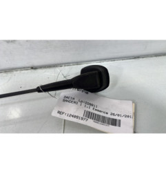 Antenne DACIA SANDERO 1