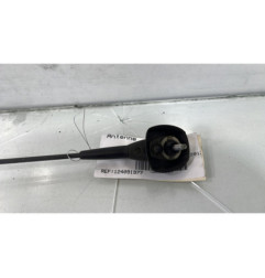 Antenne DACIA SANDERO 1