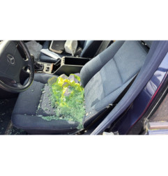 Custode arriere gauche (porte) MERCEDES CLASSE C 202
