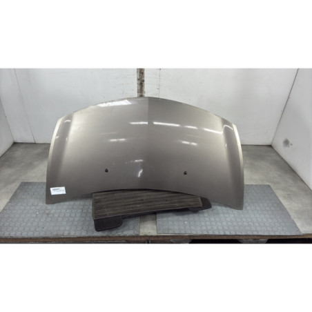 Capot RENAULT CLIO 3 Photo n°1