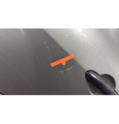 Porte arriere gauche RENAULT CLIO 3