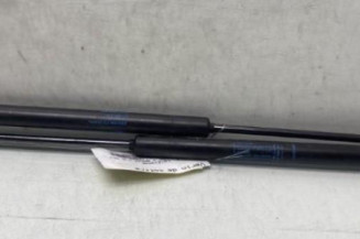 Verin de coffre RENAULT CLIO 3
