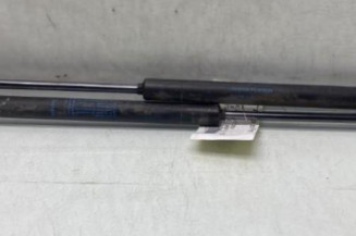 Verin de coffre RENAULT CLIO 3