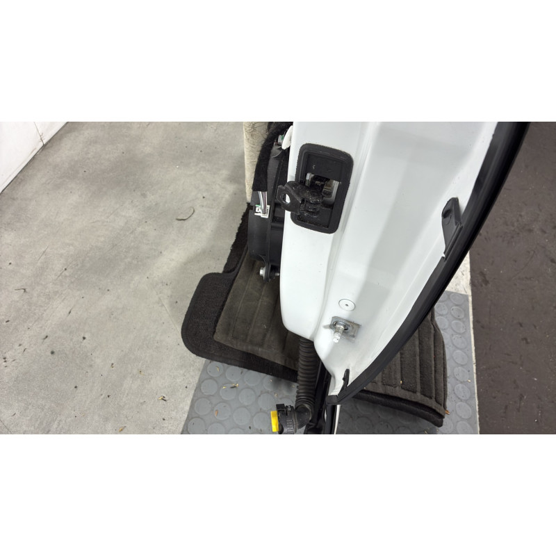 Porte arriere gauche RENAULT MEGANE 4 Photo n°3