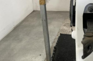 Porte arriere gauche CITROEN C3 3