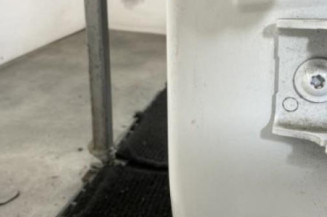 Porte arriere gauche CITROEN C3 3