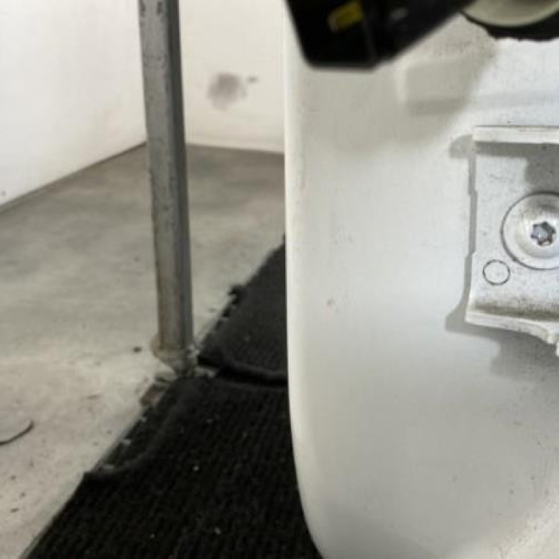 Porte arriere gauche CITROEN C3 3 Photo n°4