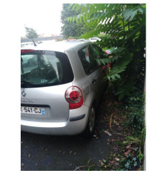 Custode arriere gauche (porte) RENAULT MODUS