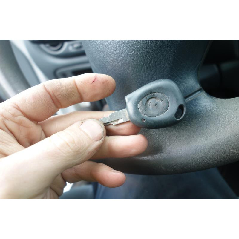 Custode arriere gauche (porte) RENAULT MEGANE Photo n°27