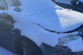 Porte arriere droit RENAULT MEGANE 2