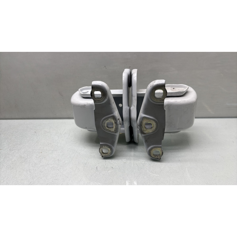 Charniere de porte de coffre droit NISSAN PRIMASTAR 2 Photo n°3