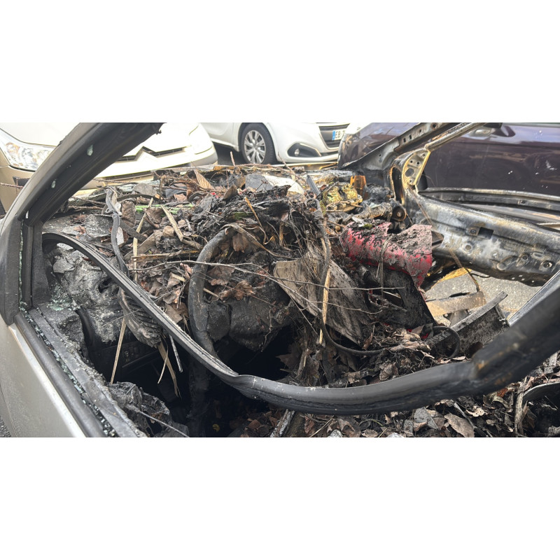 Poignee porte avant gauche RENAULT TWINGO 2 Photo n°8