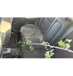 Serrure avant gauche FORD FOCUS 1