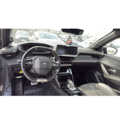 Porte arriere gauche PEUGEOT 208 2