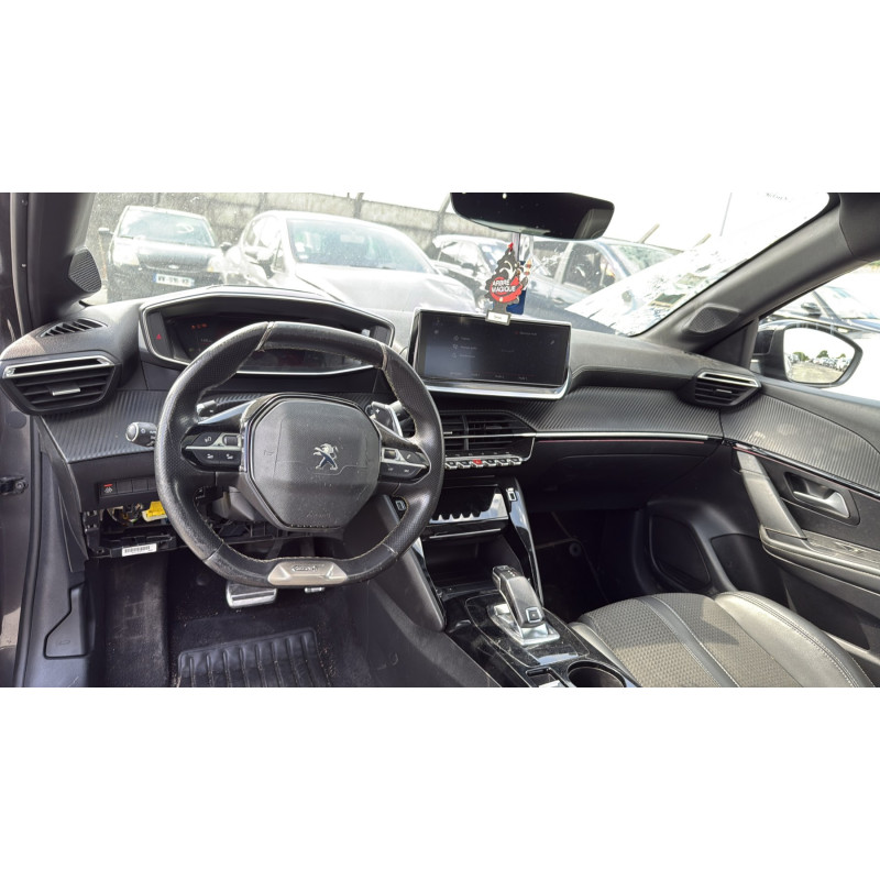Porte arriere gauche PEUGEOT 208 2 Photo n°18