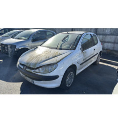 Baguette de porte avant droite PEUGEOT 206