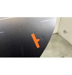 Porte arriere gauche RENAULT CLIO 4