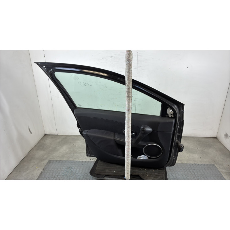Porte avant gauche RENAULT CLIO 3 Photo n°6