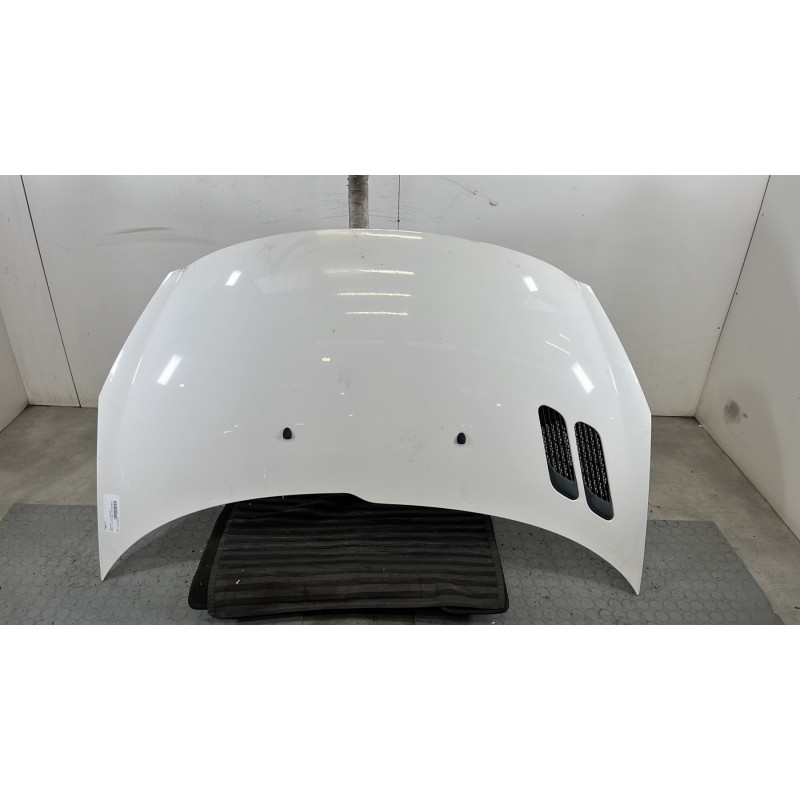 Capot PEUGEOT 206+ Photo n°1