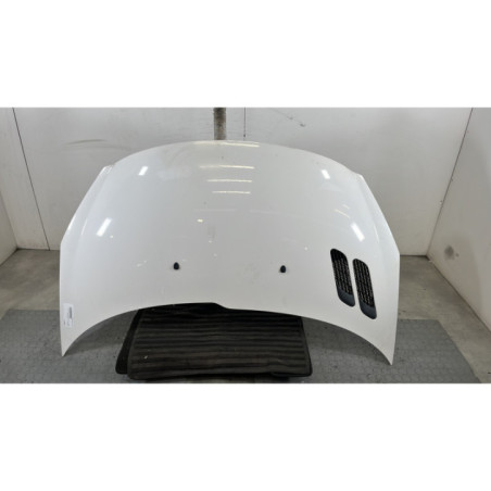 Capot PEUGEOT 206+ Photo n°1