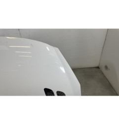 Capot PEUGEOT 206+