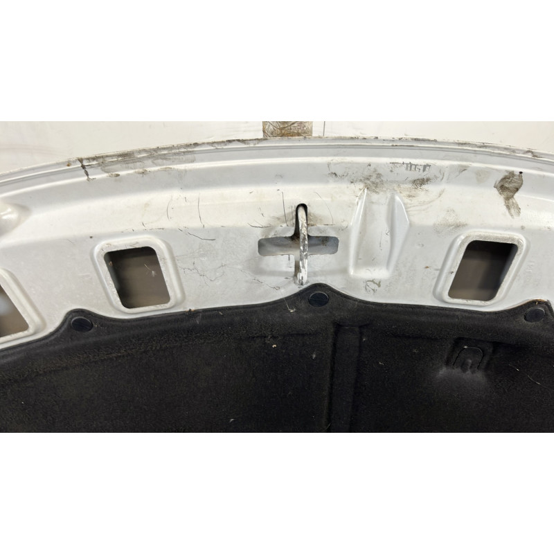 Capot PEUGEOT 206+ Photo n°6