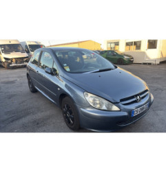 Vase de lave glace PEUGEOT 307