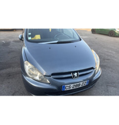Vase de lave glace PEUGEOT 307
