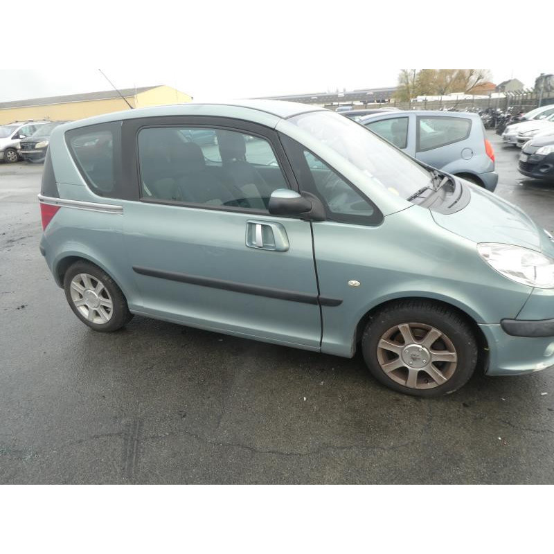 Calandre PEUGEOT 1007 Photo n°11