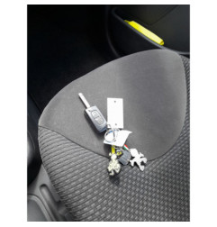 Custode avant droit (porte) CITROEN C3 1