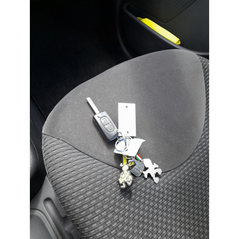 Custode avant droit (porte) CITROEN C3 1 Photo n°20