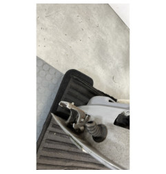Porte arriere gauche CITROEN C3 1