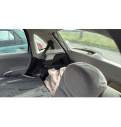 Porte arriere gauche CITROEN C3 1