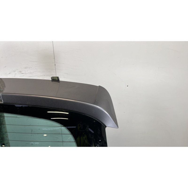 Malle/Hayon arriere RENAULT SCENIC 3 Photo n°3