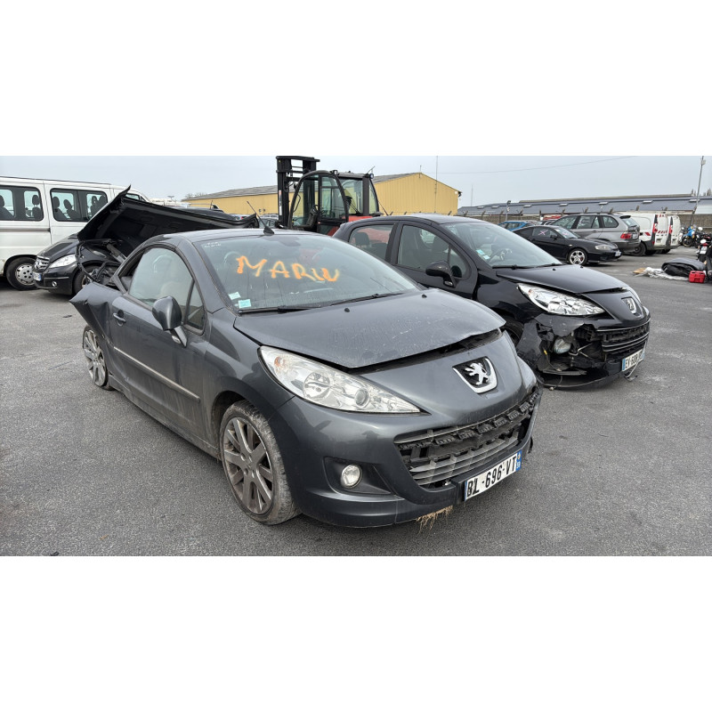 Porte avant droit PEUGEOT 207 Photo n°8