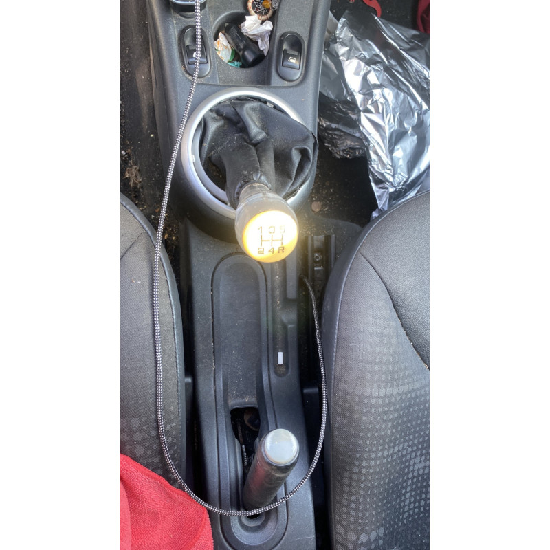 Custode arriere gauche CITROEN C2 Photo n°20
