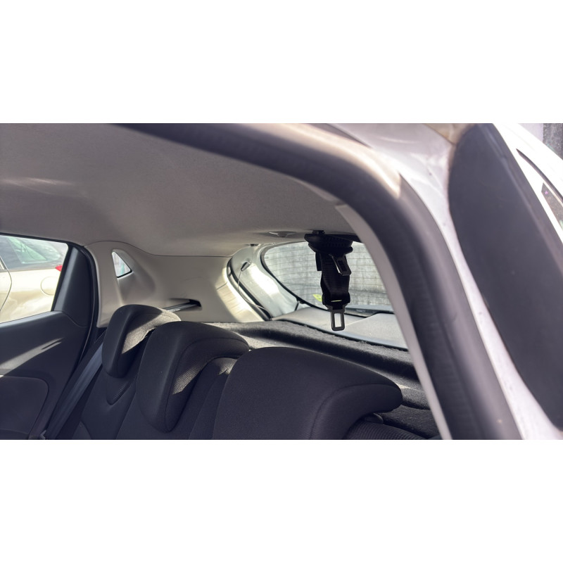 Porte arriere gauche RENAULT CLIO 4 Photo n°19