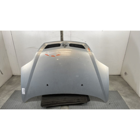 Capot RENAULT SCENIC 1 Photo n°1