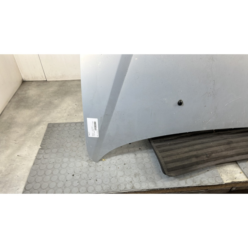 Capot RENAULT SCENIC 1 Photo n°7