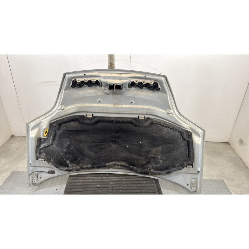Capot RENAULT SCENIC 1 Photo n°8