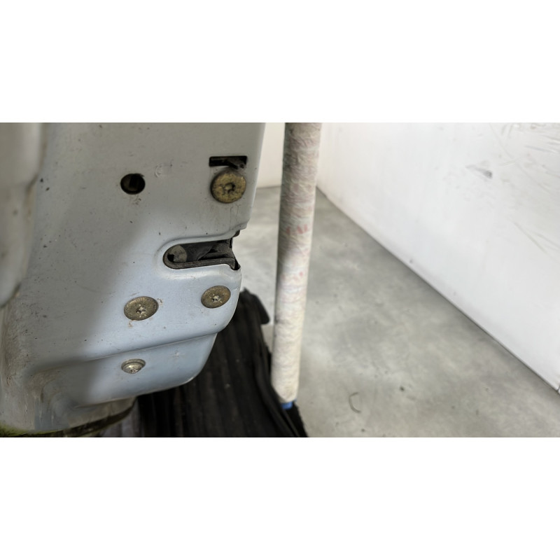 Porte arriere gauche RENAULT SCENIC 1 Photo n°6