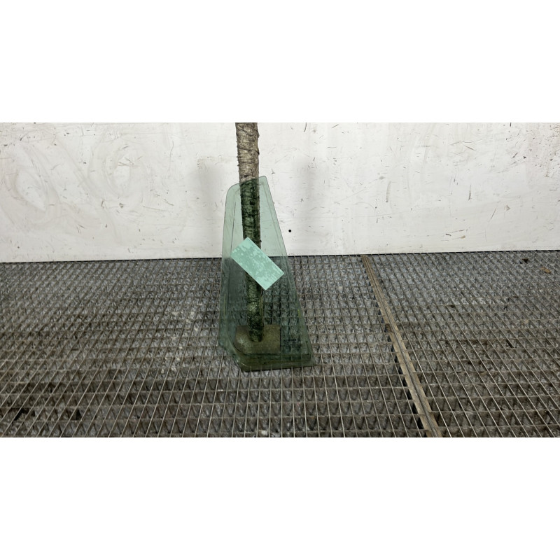 Custode arriere gauche (porte) RENAULT CLIO 3 Photo n°4