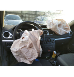 Custode arriere gauche (porte) RENAULT CLIO 3
