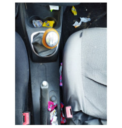 Custode arriere gauche (porte) RENAULT CLIO 3
